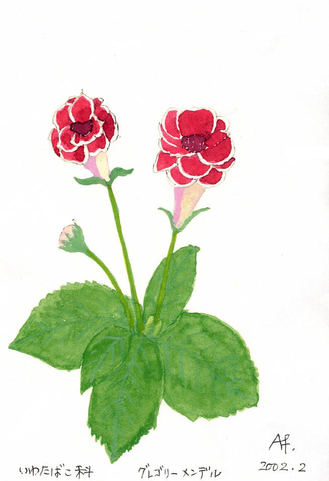 佐藤18