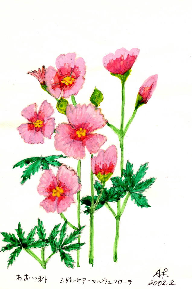 渡部30