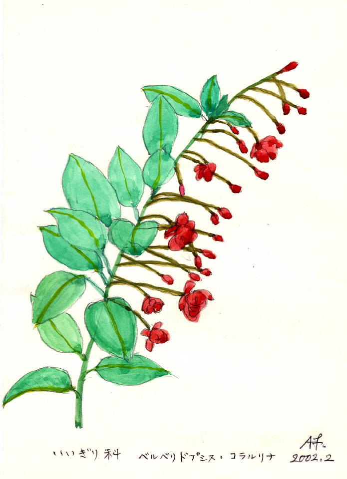 荒木32